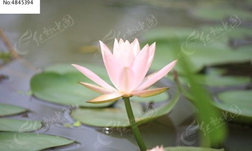 手背上总出汗什么病-专业手背上总出汗什么病引起的平台-手背上总出汗什么病症