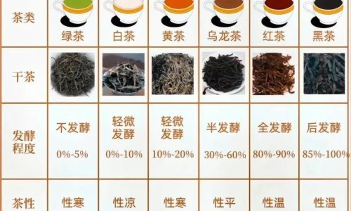 手背上总出汗什么病引起的-手背上总出汗什么病-专业手背上总出汗什么病引起的平台-手背上总出汗什么病症